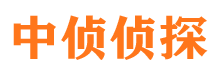 福海市调查公司